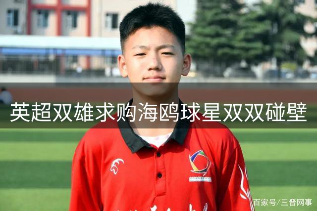 英超双雄求购海鸥球星双双碰壁